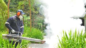 Best Mosquito Control  in Ashland, OR